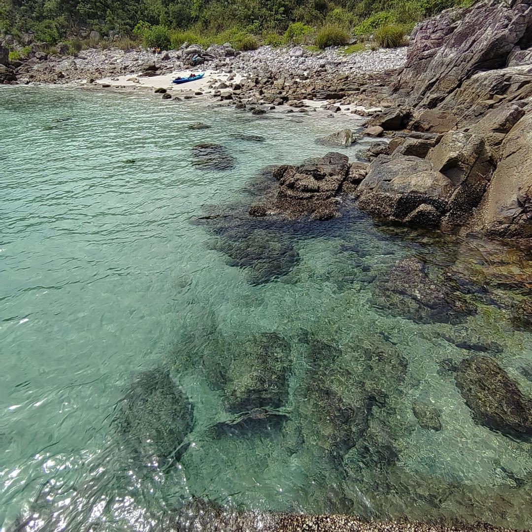 星辰与大海