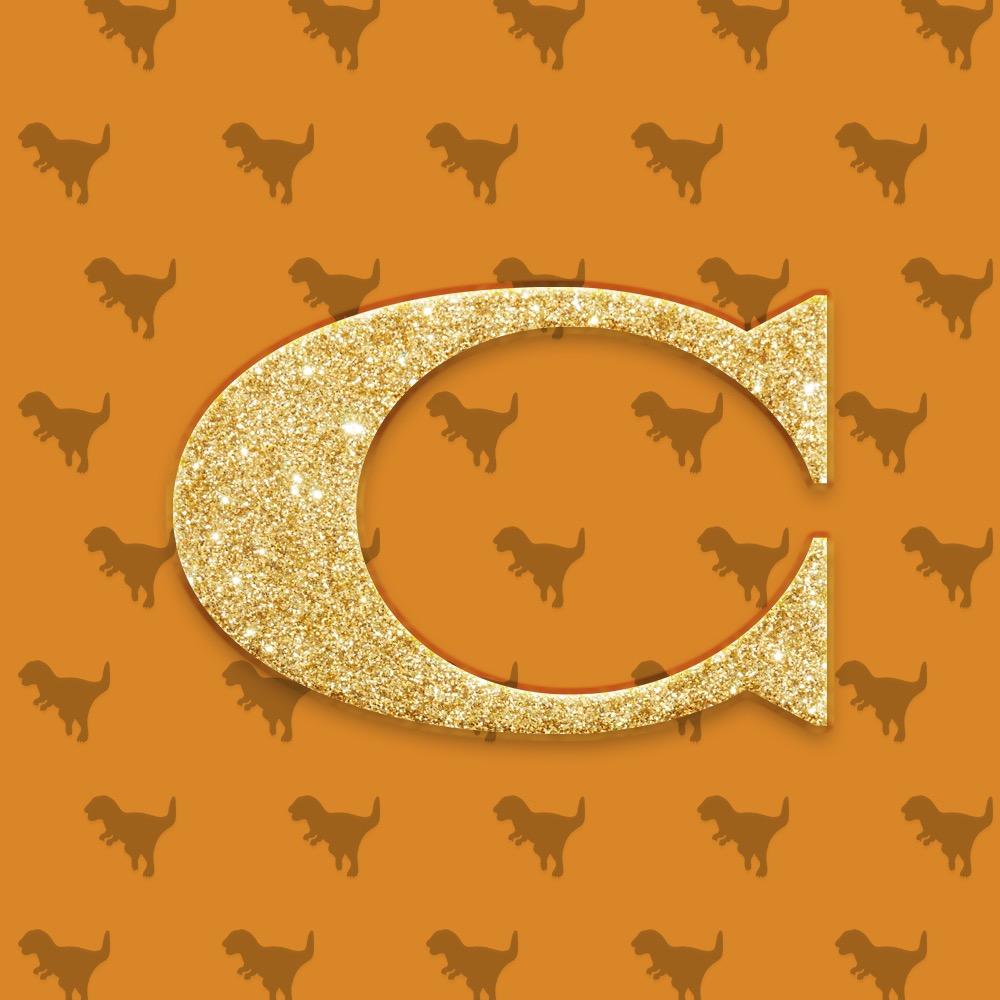 ginkgoes海外奢包（Coach）