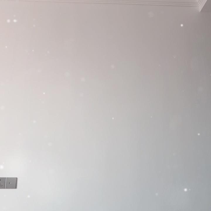 ……………………