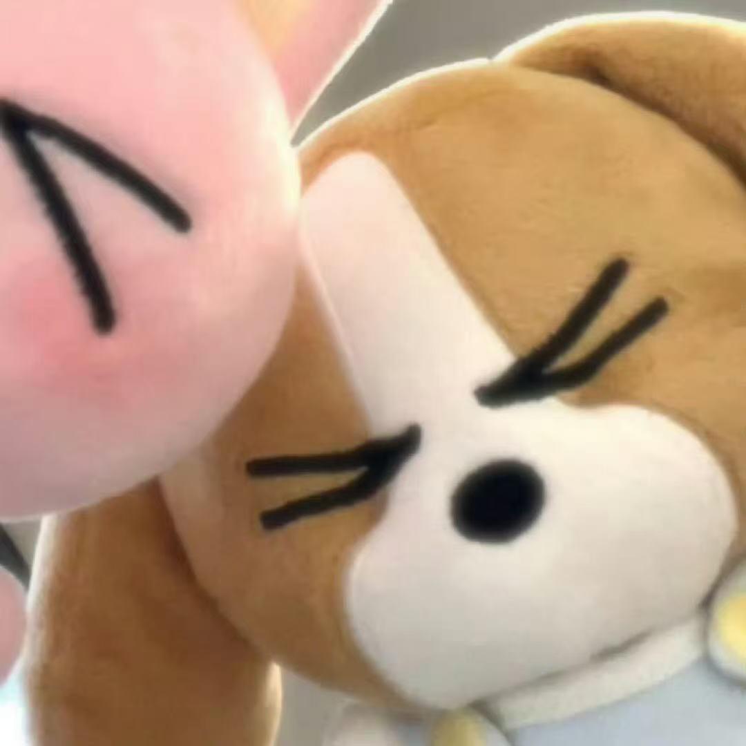 绵绵猫