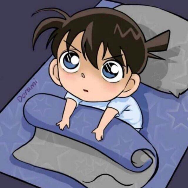 蝴蝶飞很高