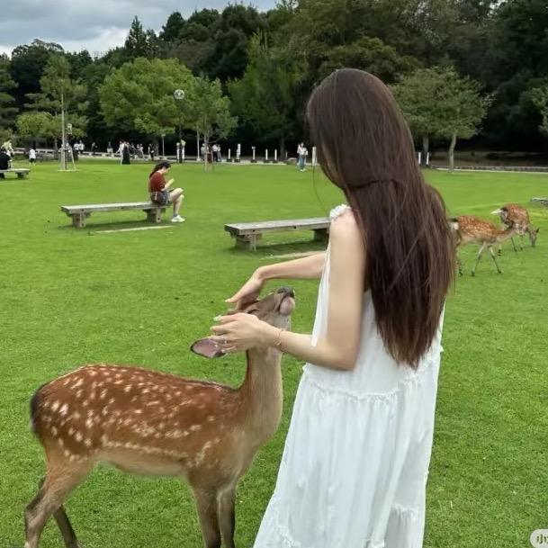 陈乐然