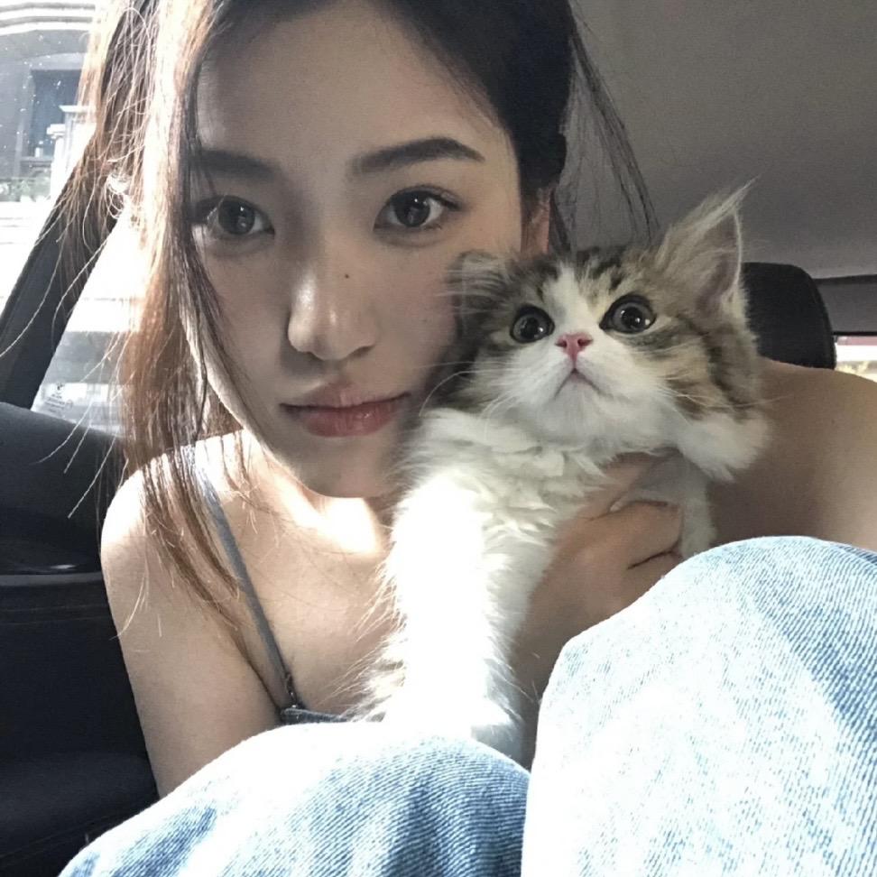 A凤梨梨