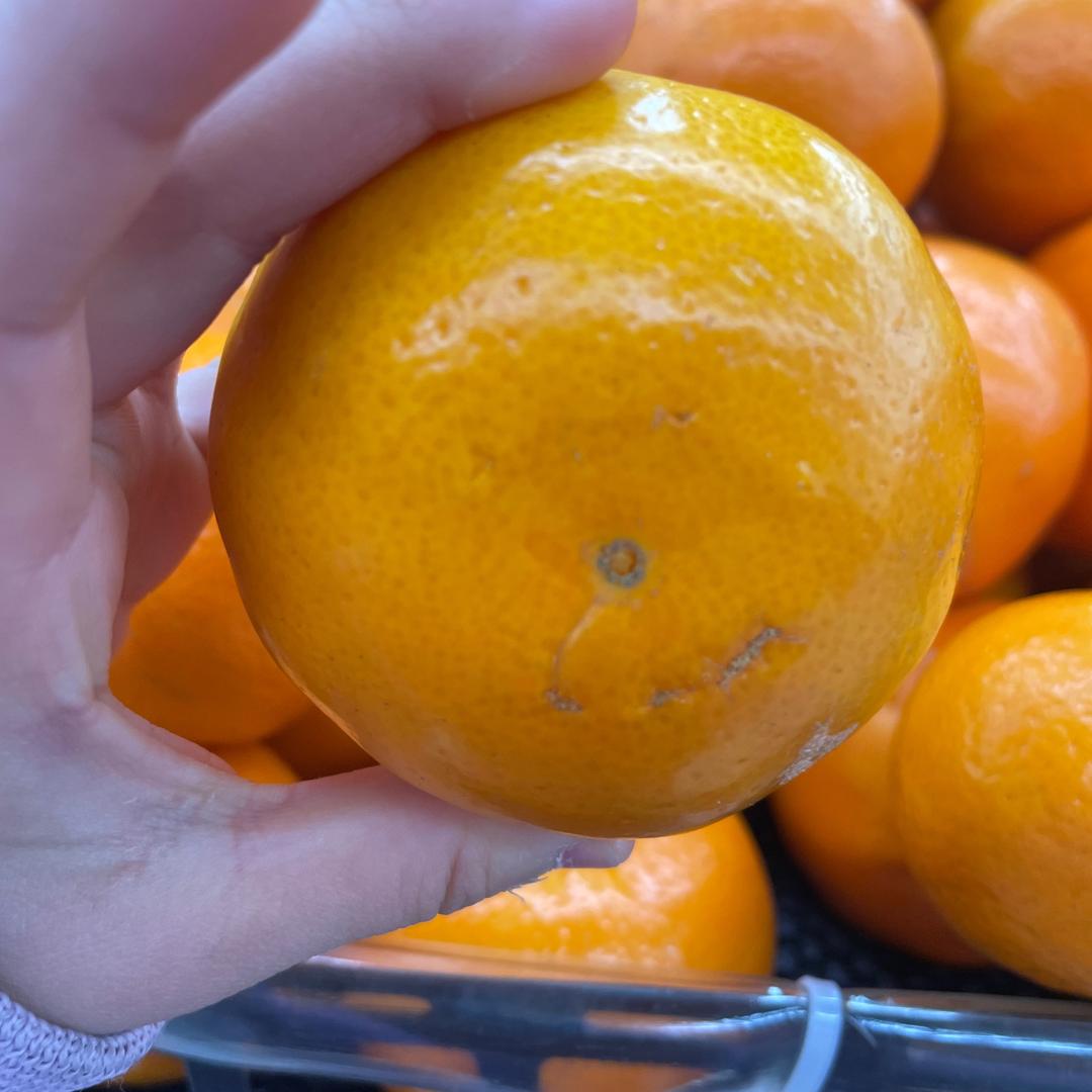 蓝湖