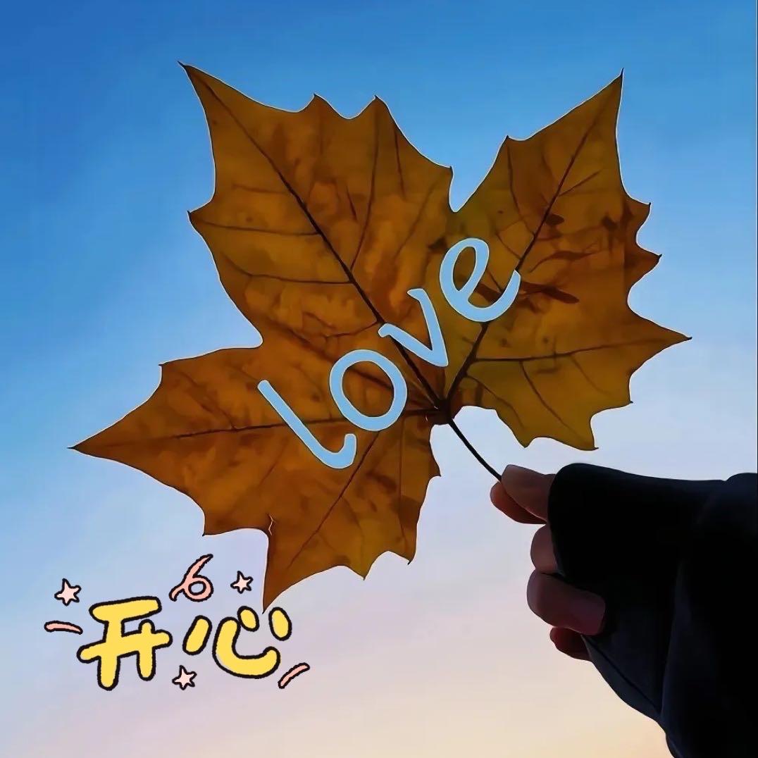 自由翱翔916661