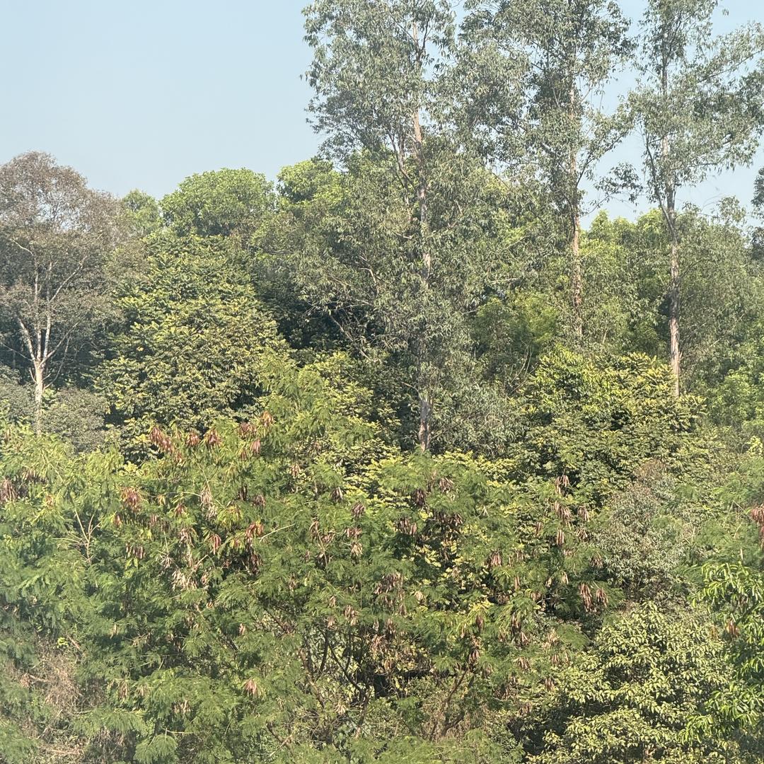 96010240268