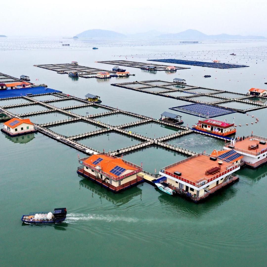海朋海产品