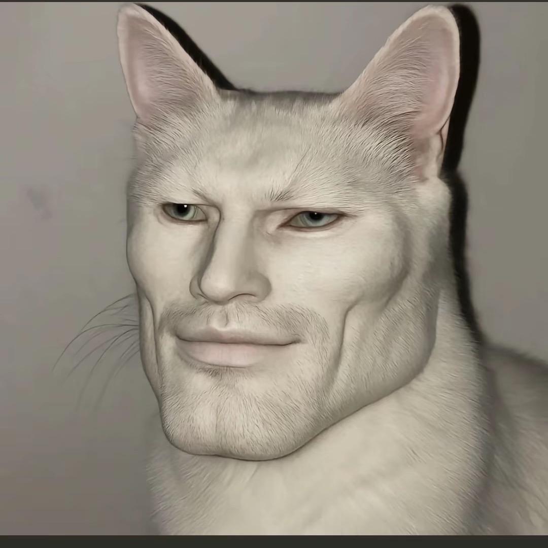 Jº