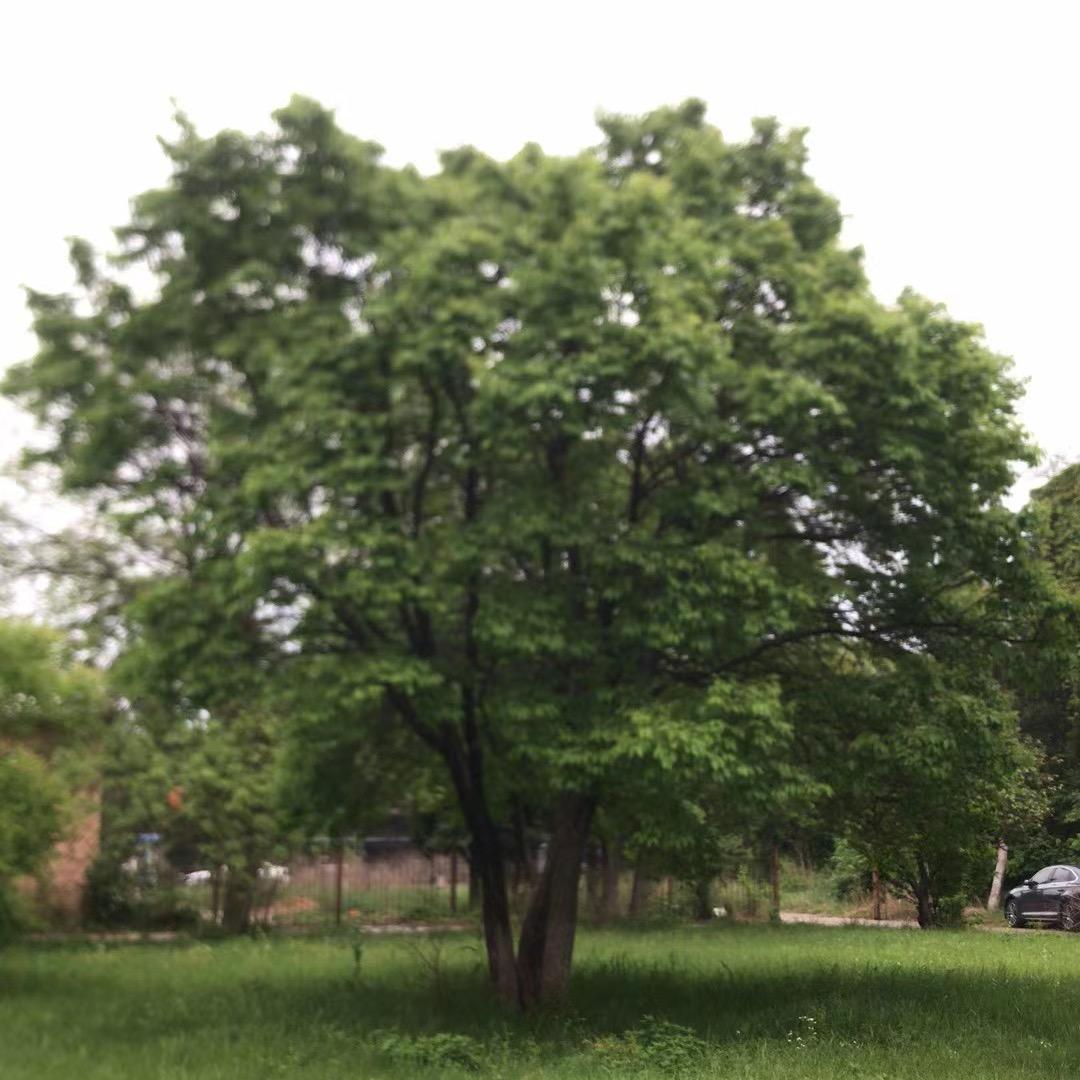 高飞的业余生活