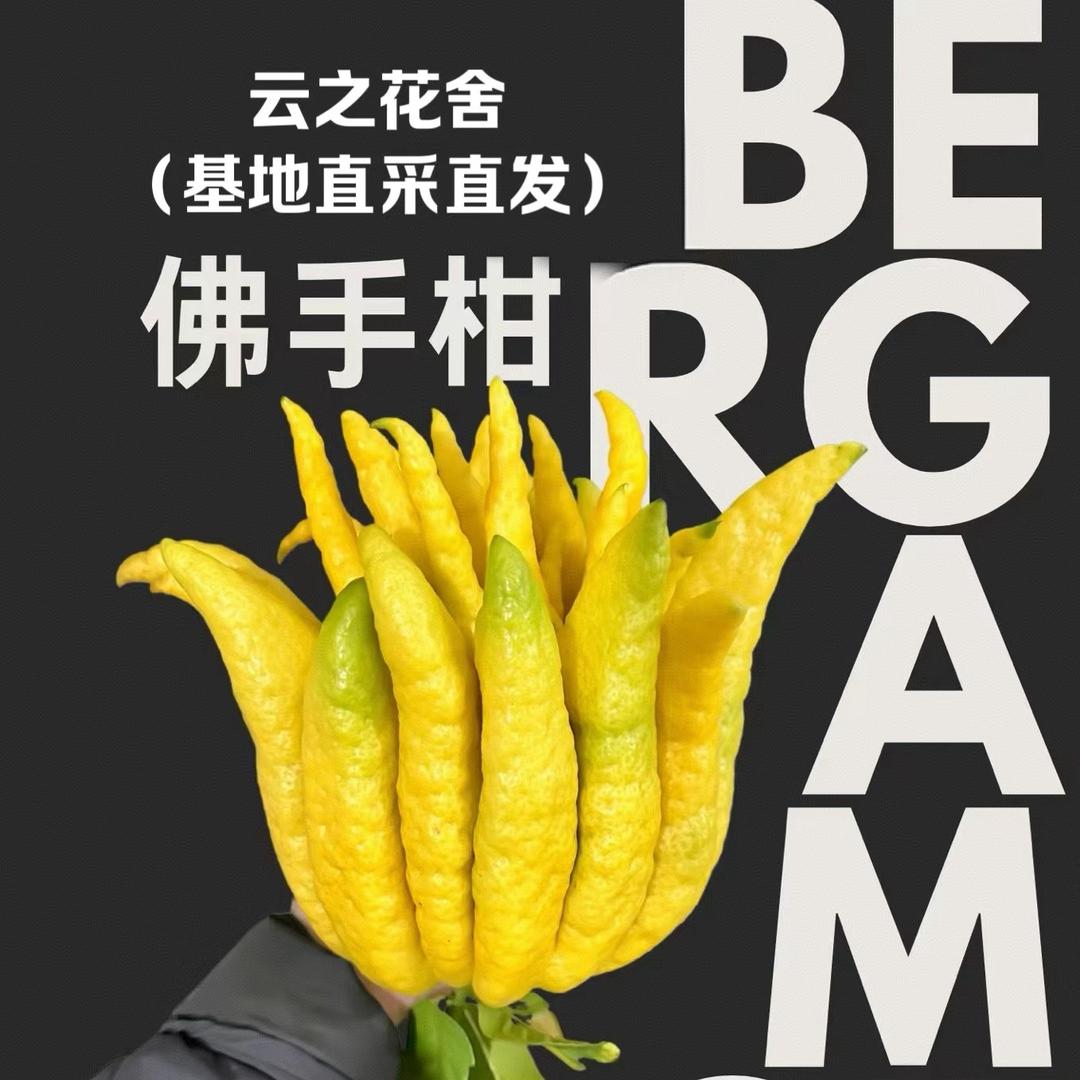 云之花舍