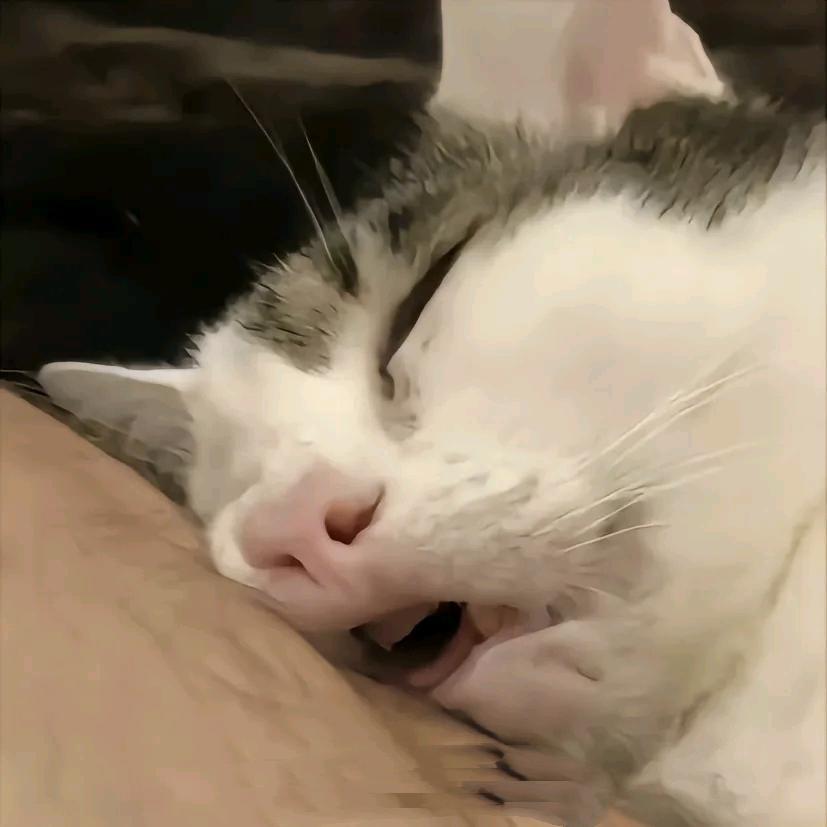 󠇥秋刀鱼