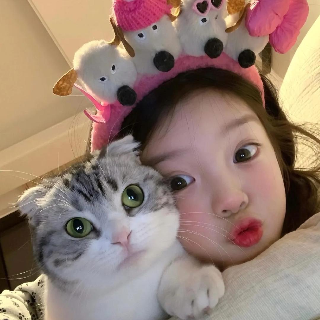 「小姨家💚」特色凉菜Diooo