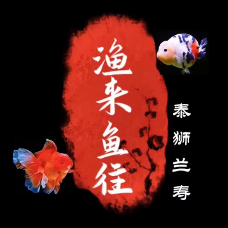 渔来鱼往（泰狮兰寿）