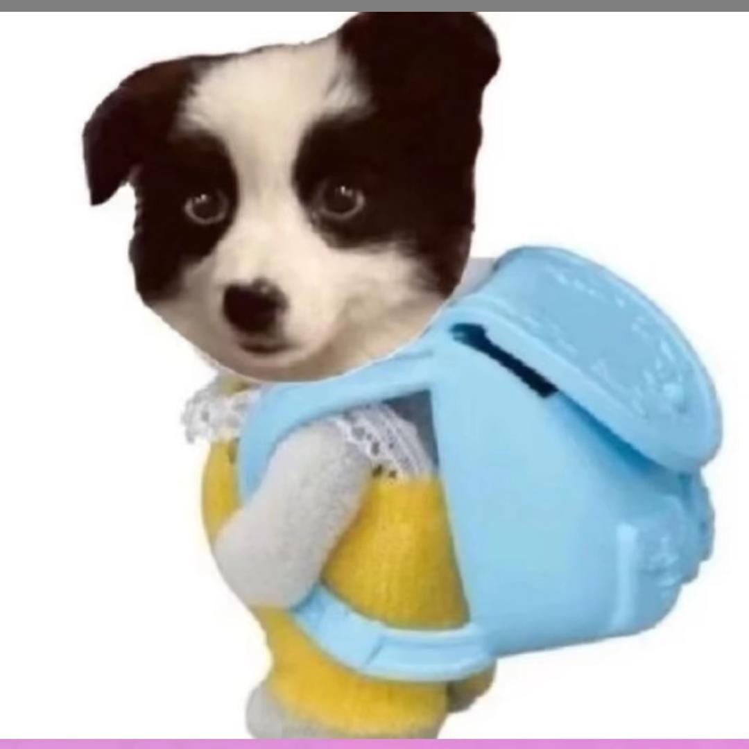 吃饱了都不ne了