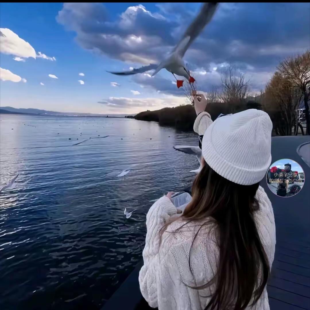 铁锤妹妹🎤