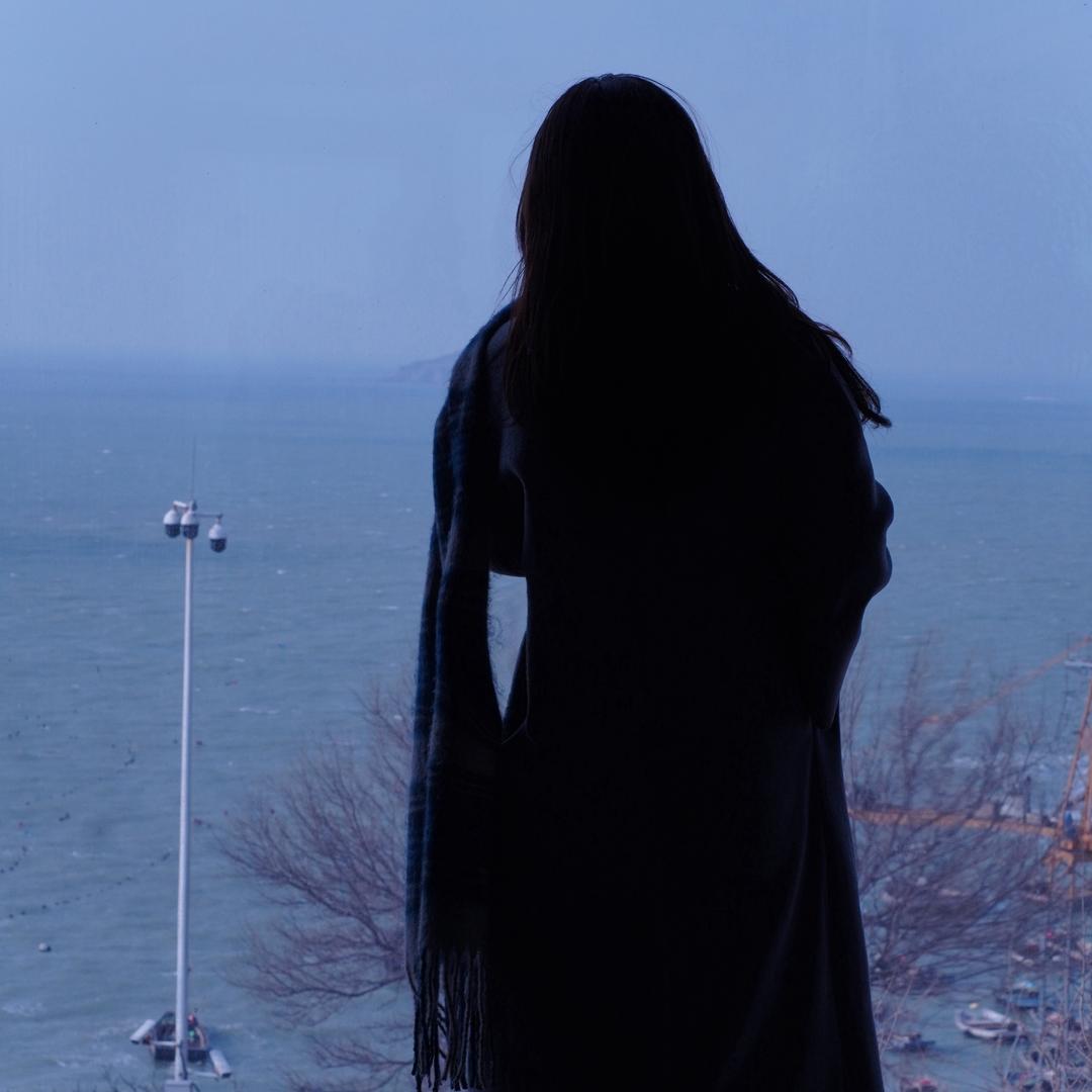 离异带俩喷火王八