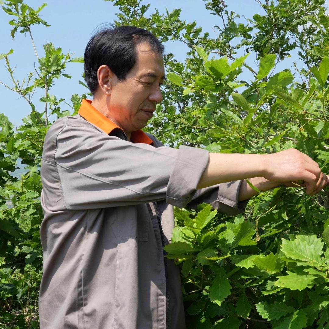 孙成新丨完美博士创始人