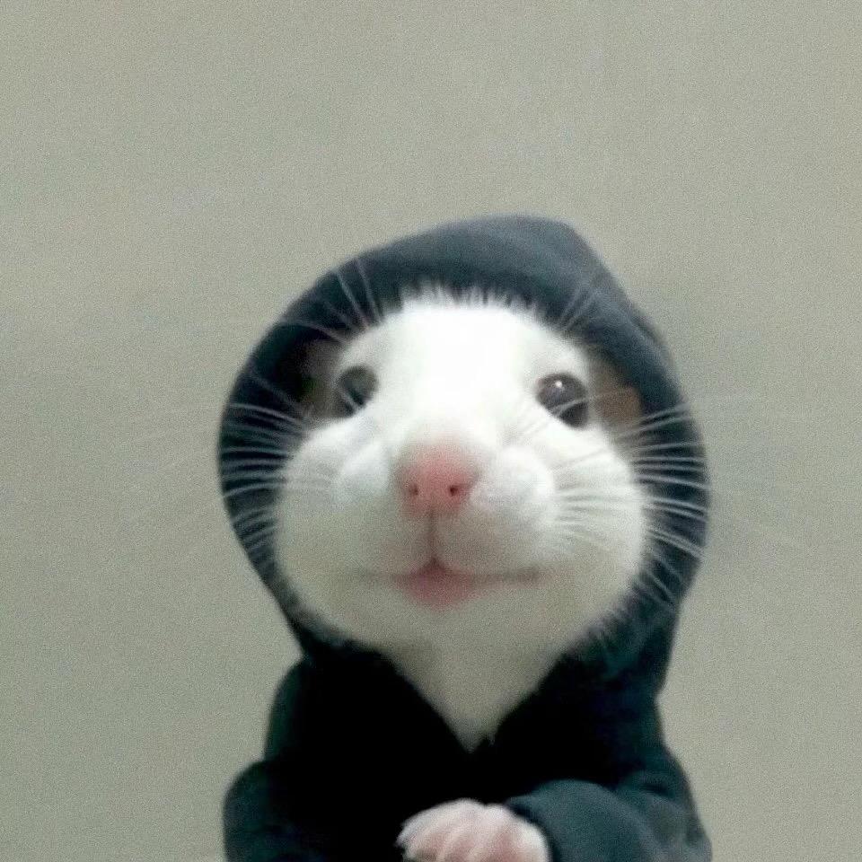 Yuii