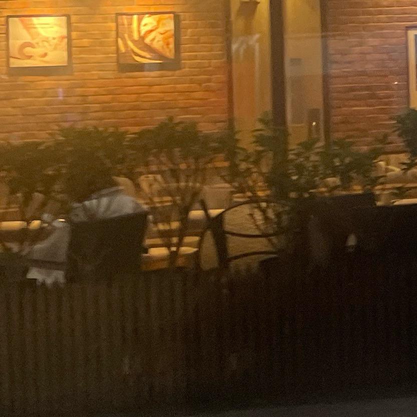 芫荽就是香菜混蛋