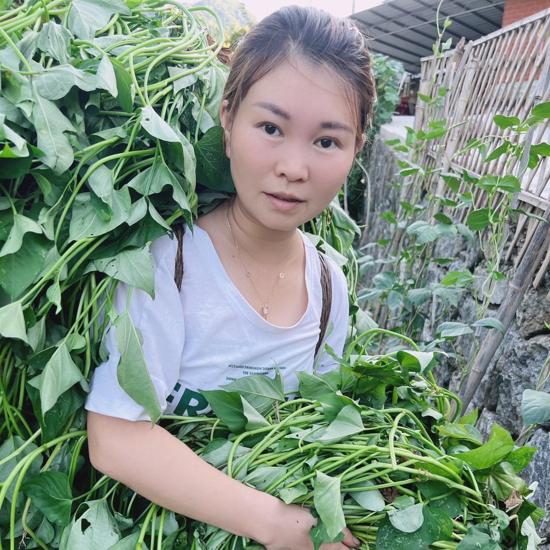 我是邓娇娇吖（五花八门版都发）