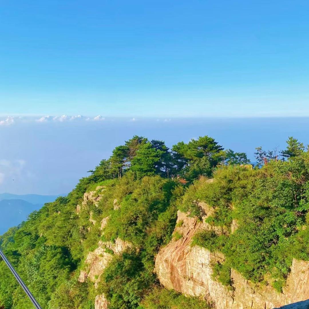 🧚🏻蔠嚸🧚🏻‍♀️