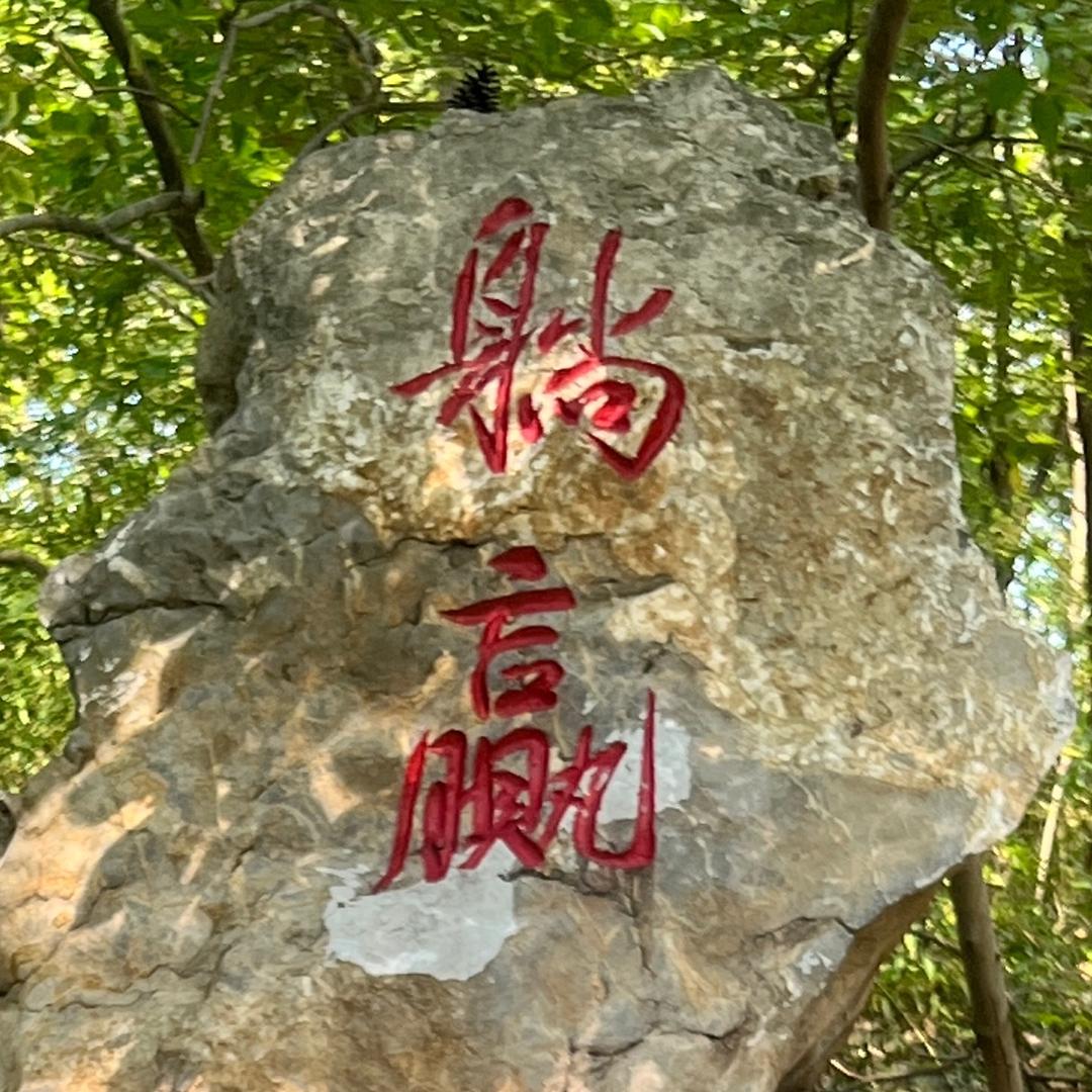 左右袜业