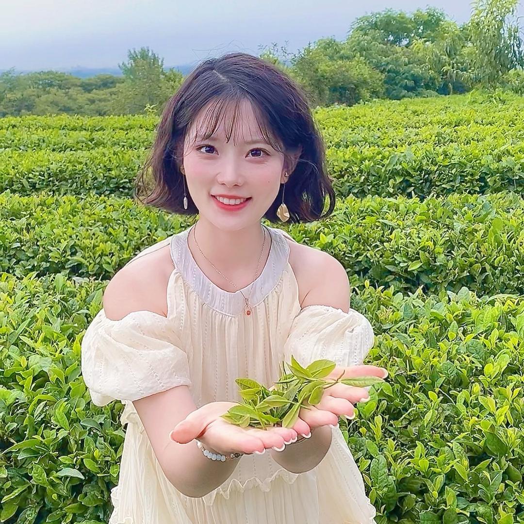 日照绿茶虎咚咚