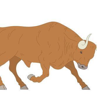 郑州市伊真轩牛羊副批发