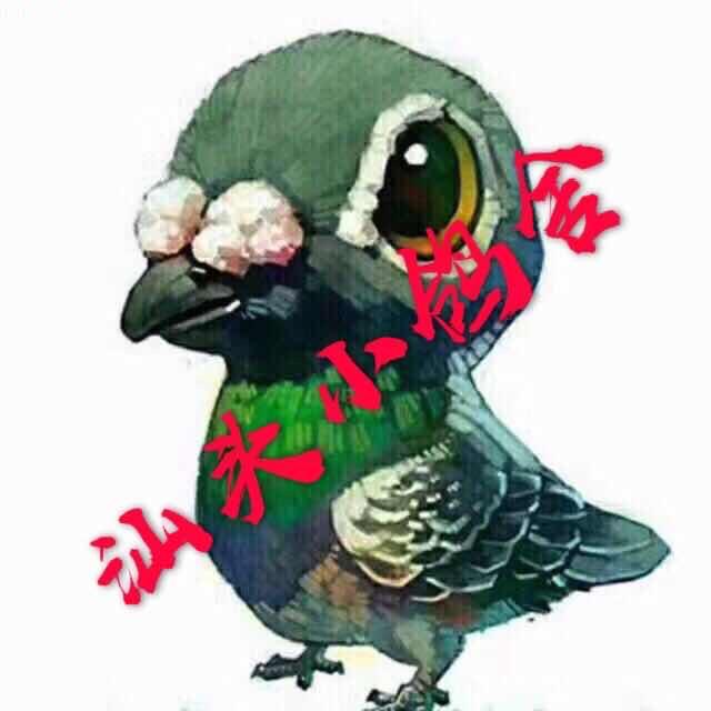 汕头小鸽舍