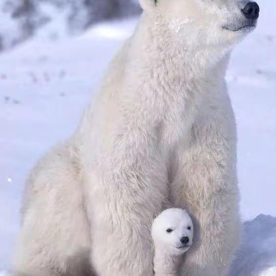 努力剪辑的小周