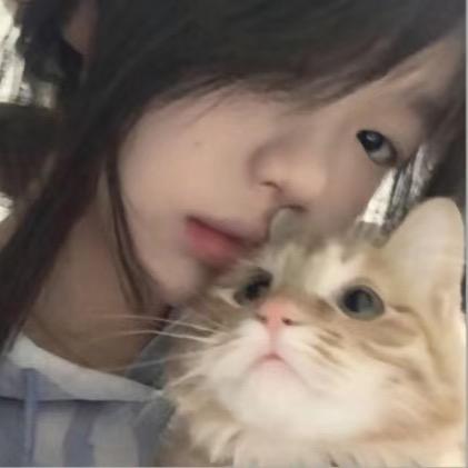 一小只JXX