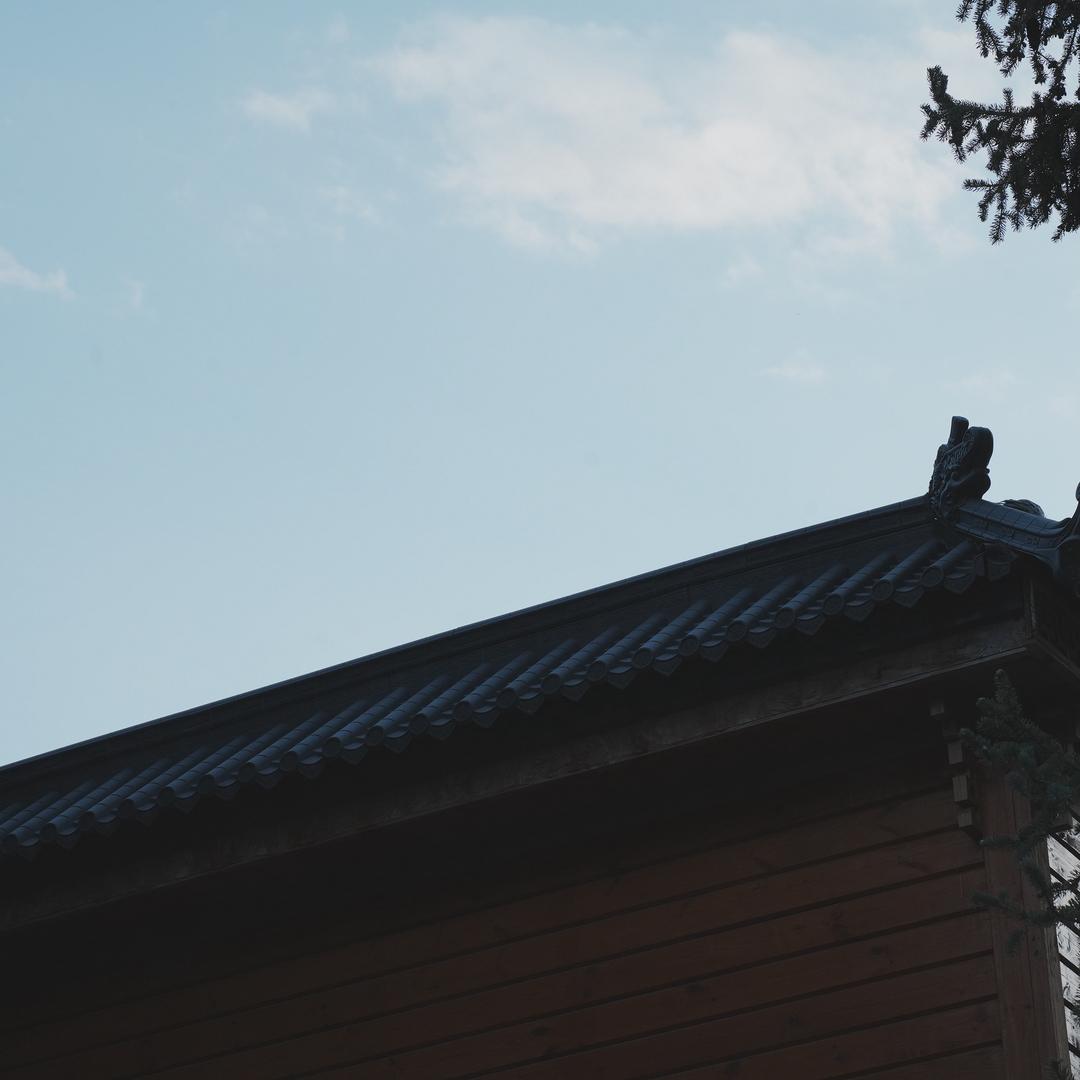 特别