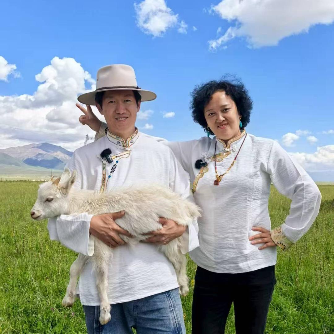 草原共享咩咩营