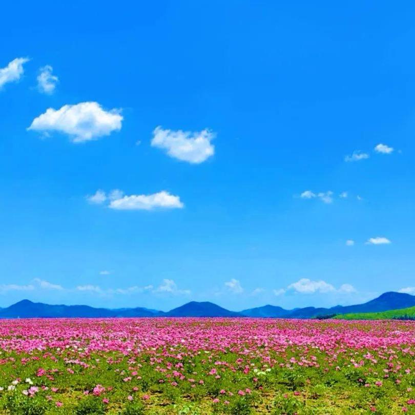 龙游吉有家庭农场