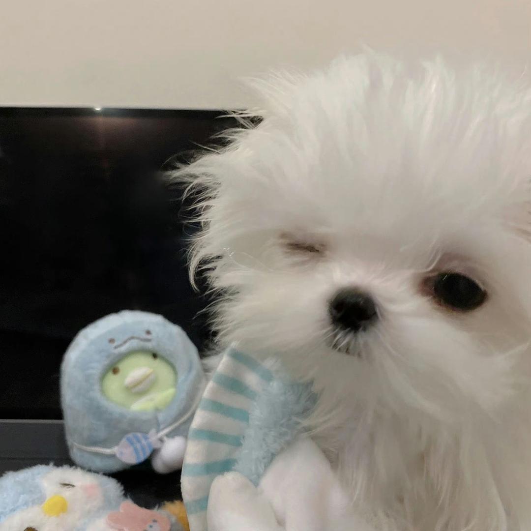 不想睡觉