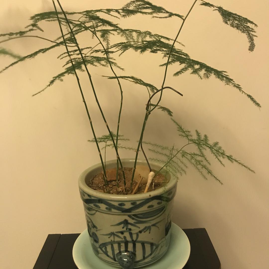 一杯咖啡