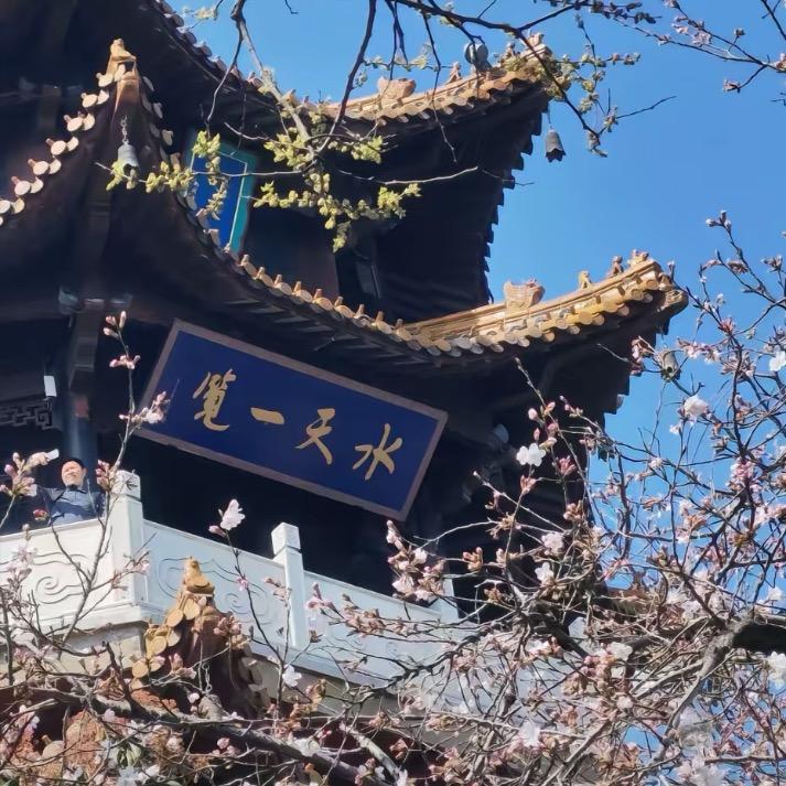 马到成功