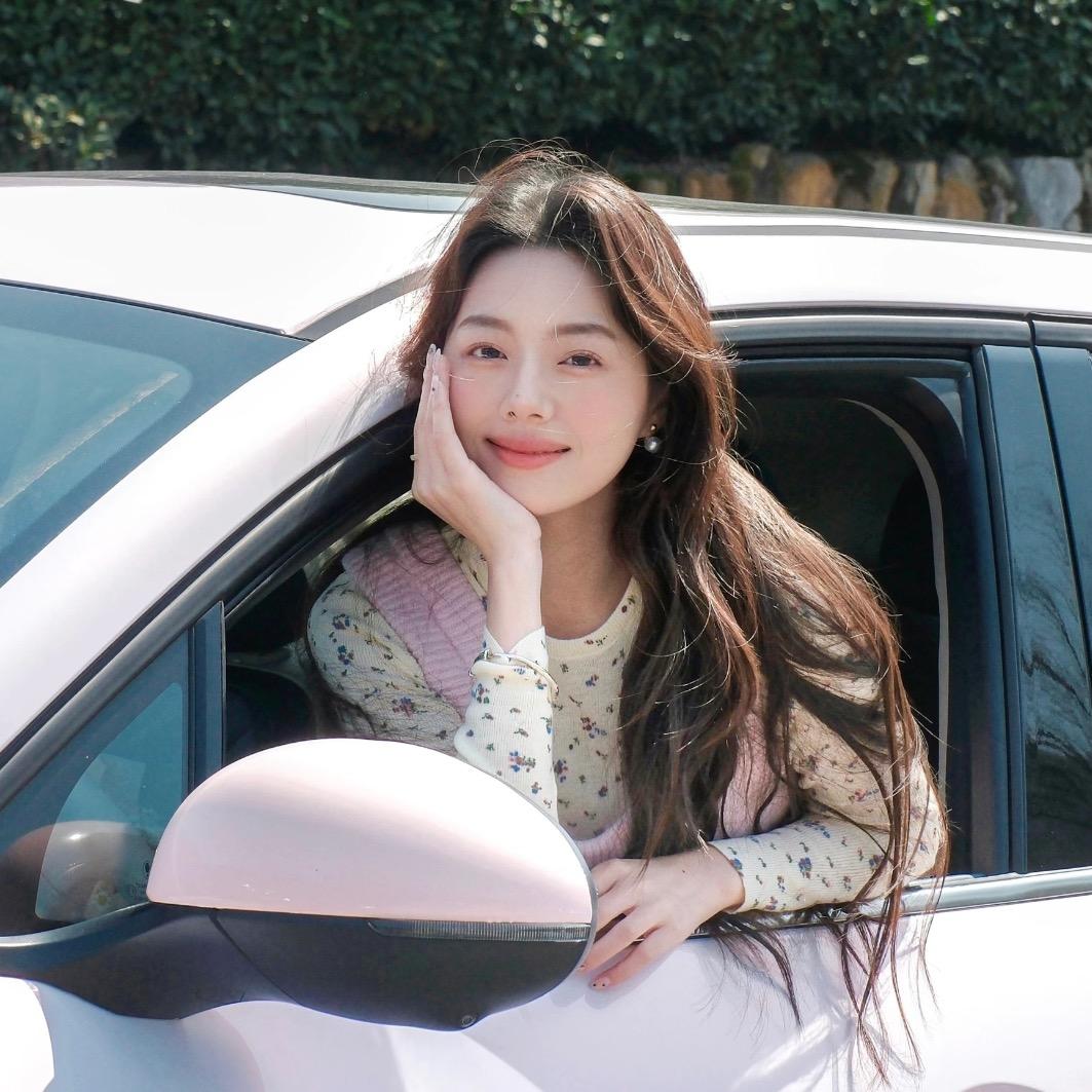 小燕子拍车