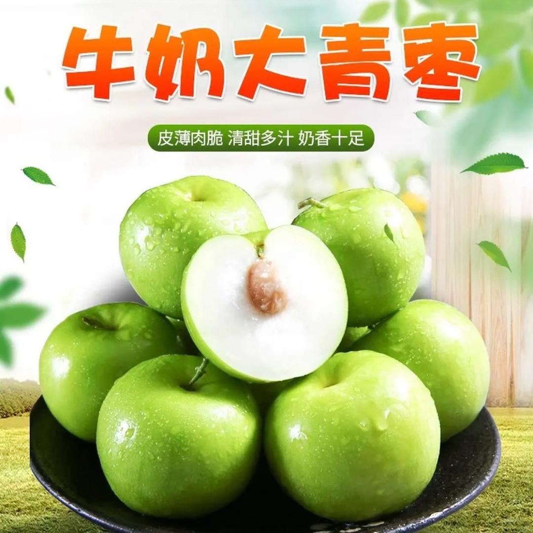 助农云南牛奶大青枣2的头像