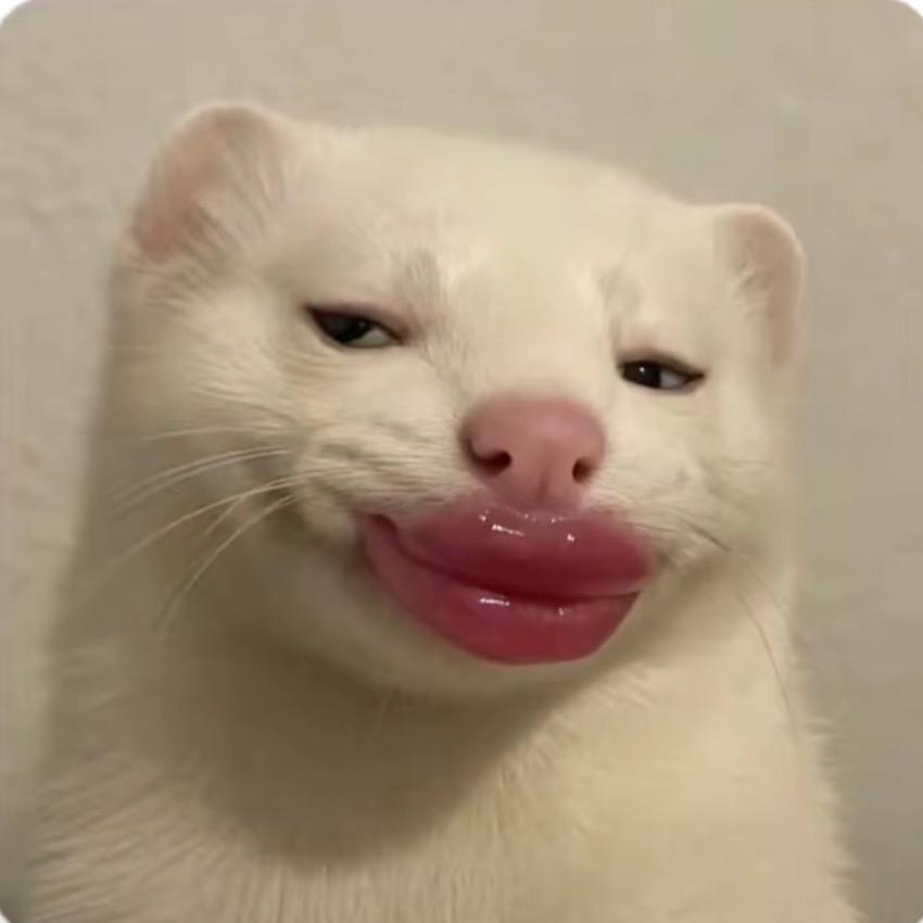 很好相处的女人