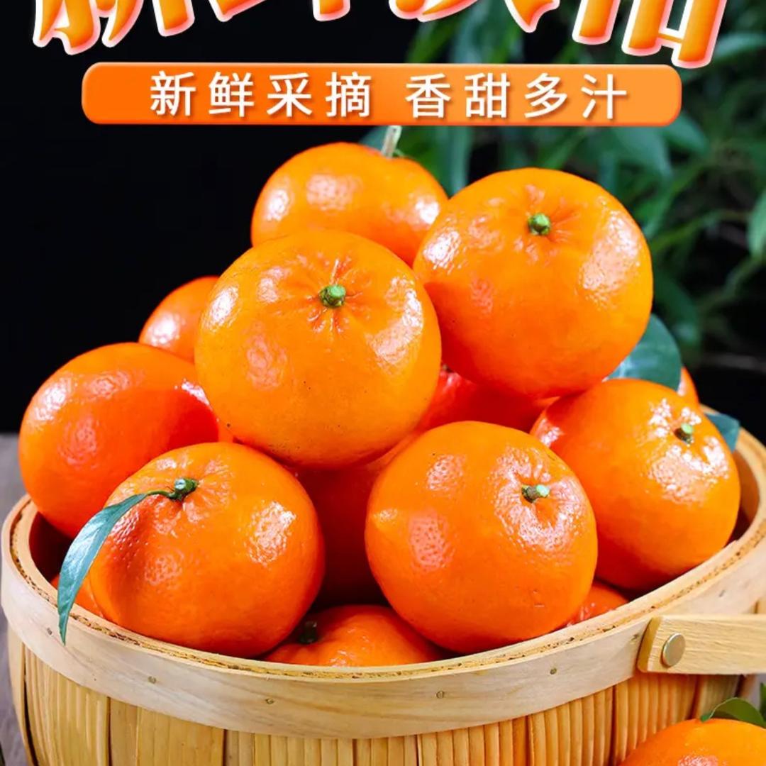 乡田甄选果果飞