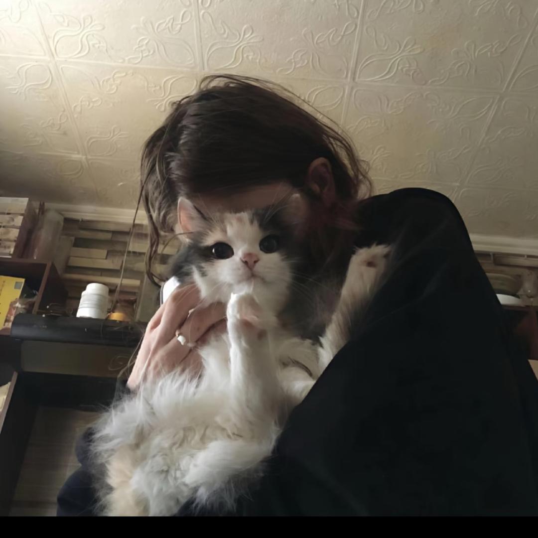 •猪粒耶