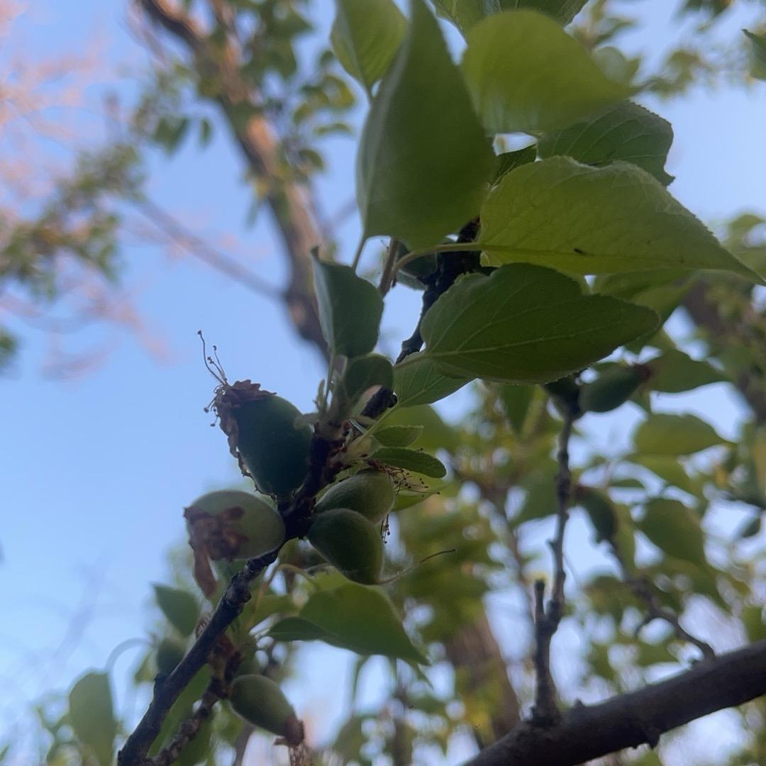 我是姚姚阿