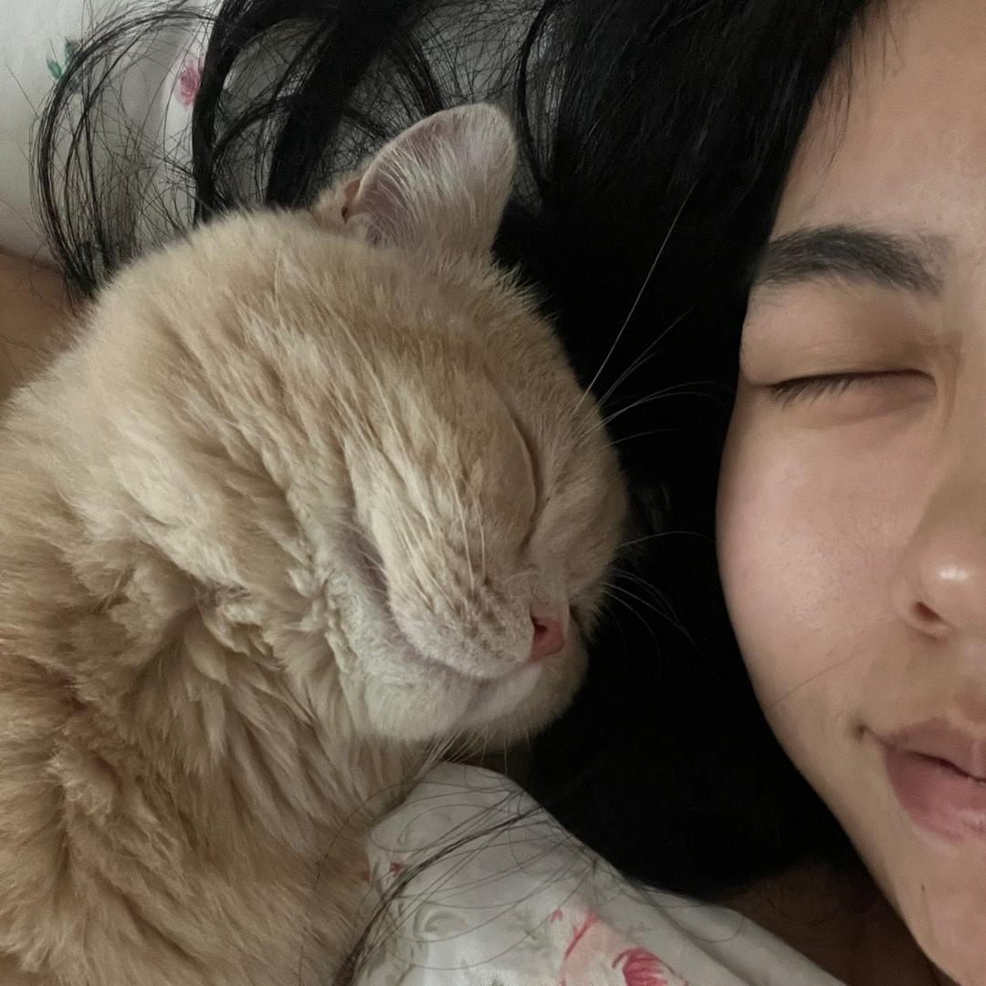 是臭蛋🐱