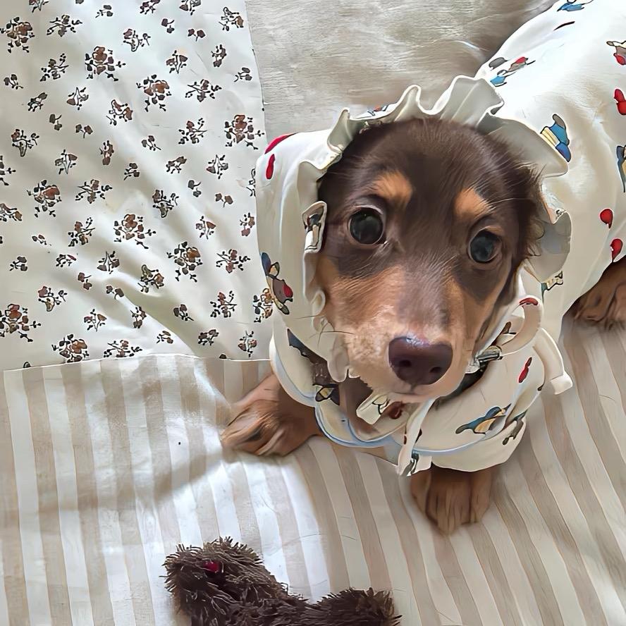 🧸.