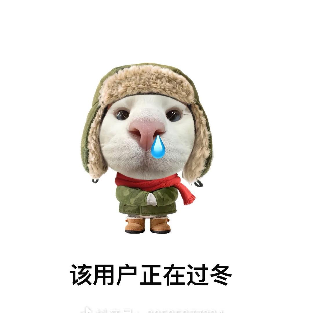 今晚一定要早睡