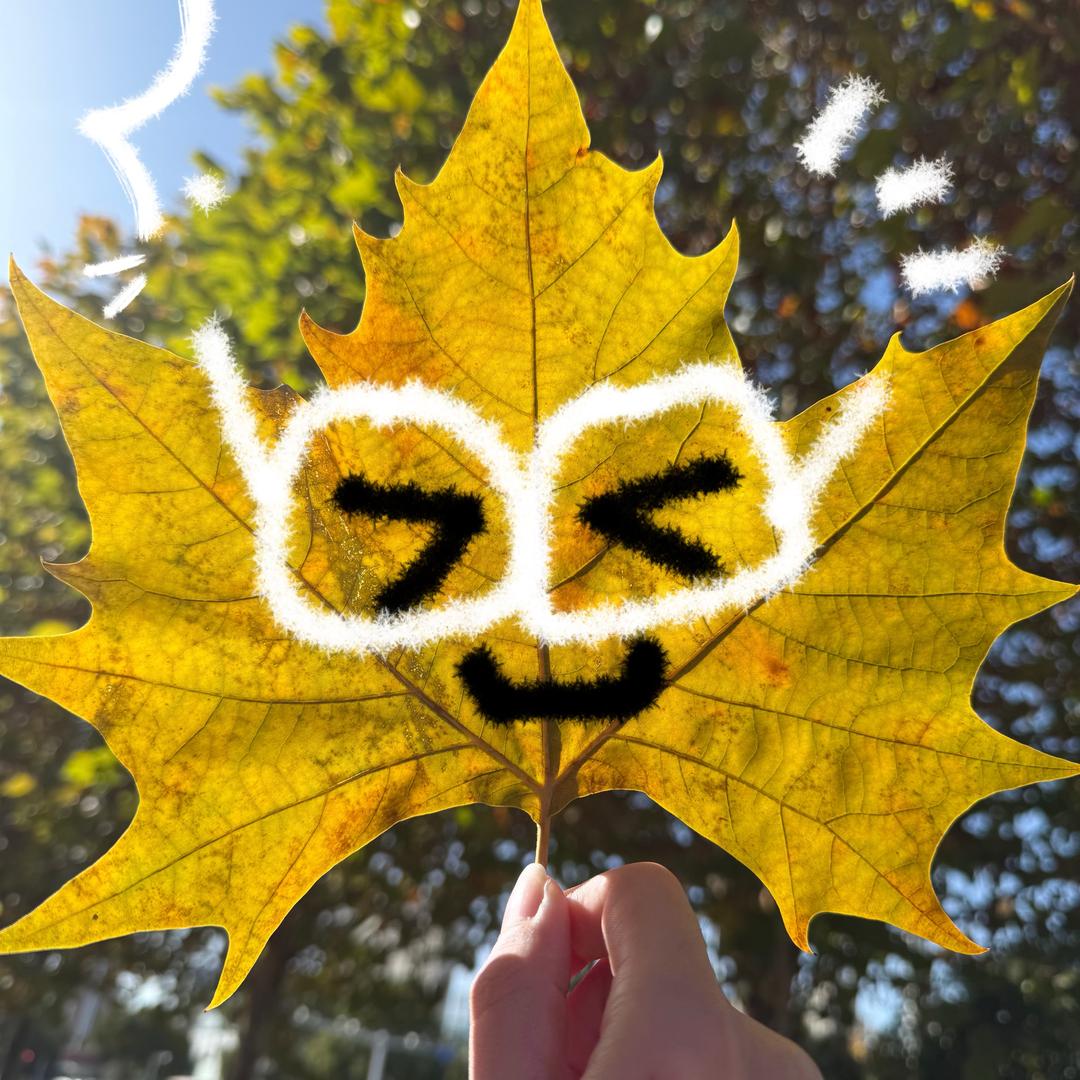 捣蛋鬼（想见丞磊版）