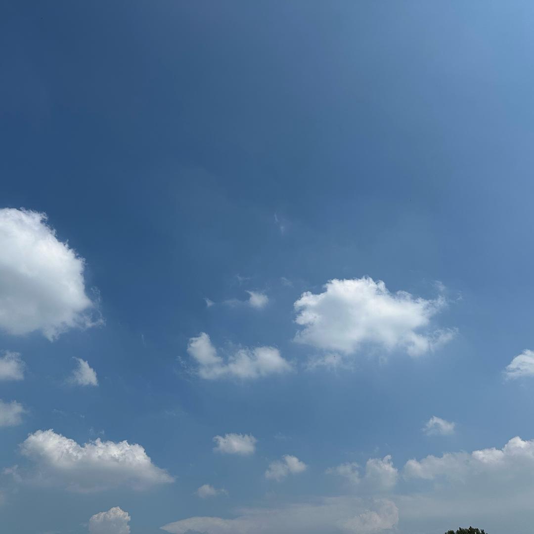 苍天已死