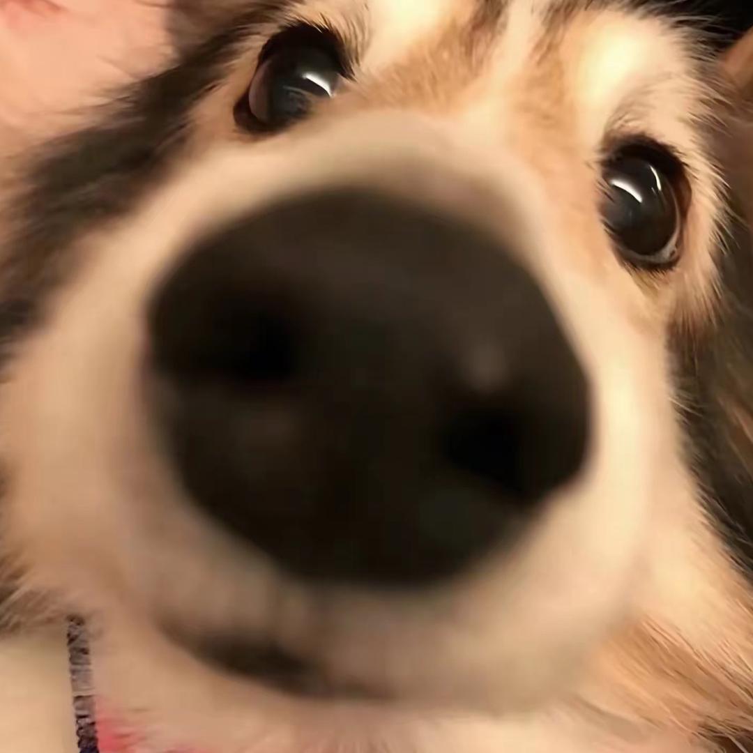 暴龙超人