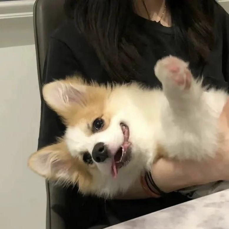 小H工作室